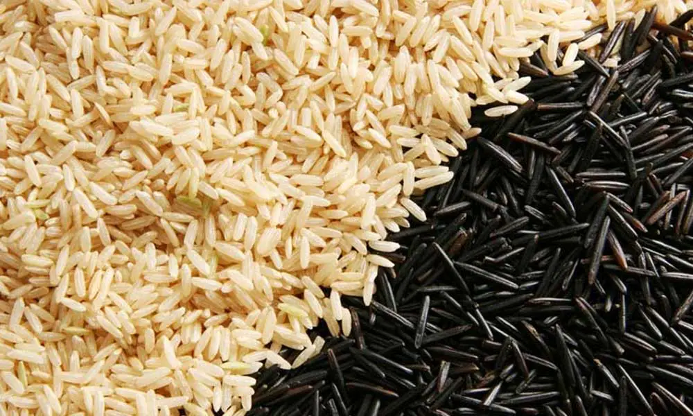 Is Rice Good for Bulking? Unveiling the Truth