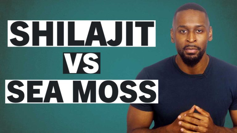 Sea Moss Vs Shilajit – Amazing Benefits but Which One Is Better?