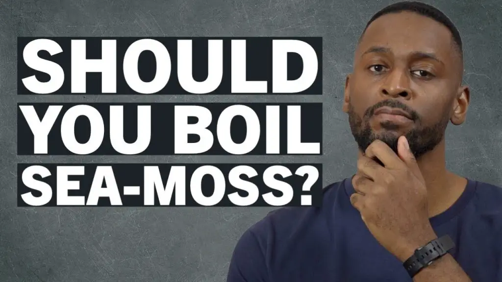 should you boil sea moss does it