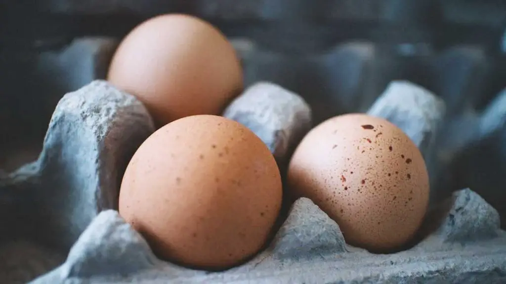 best-muscle-building-foods-eggs