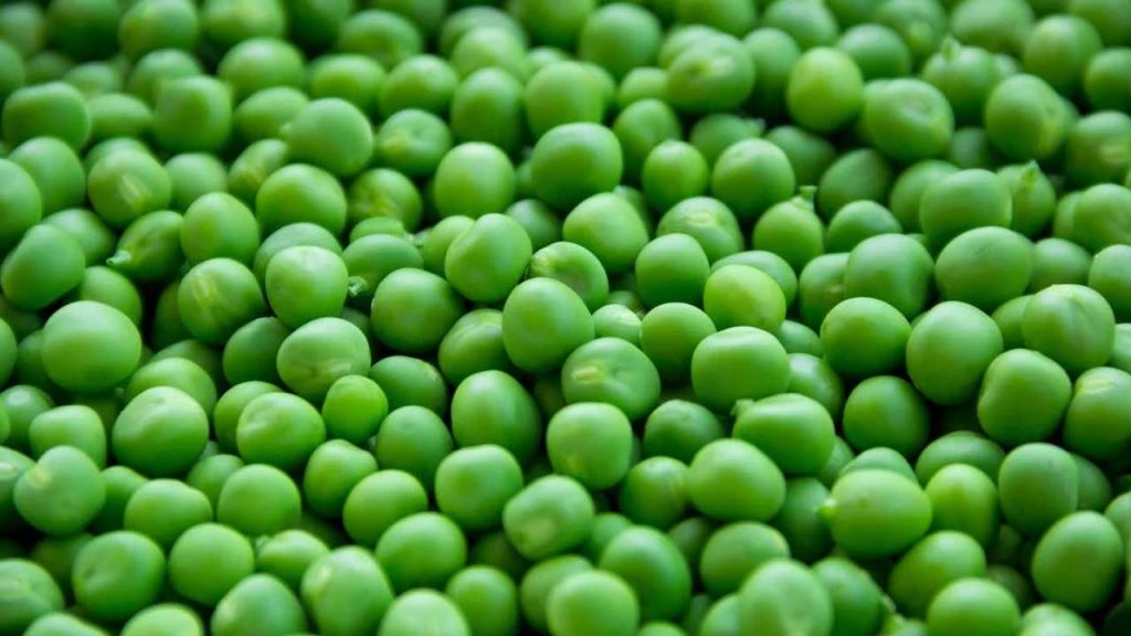 best-sources-of-protein-for-vegetarians-peas