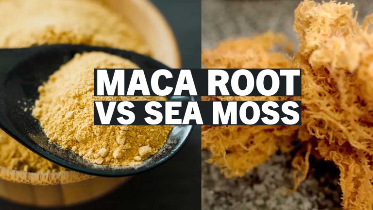 Maca Root vs Sea Moss: Which Superfood Reigns Supreme?