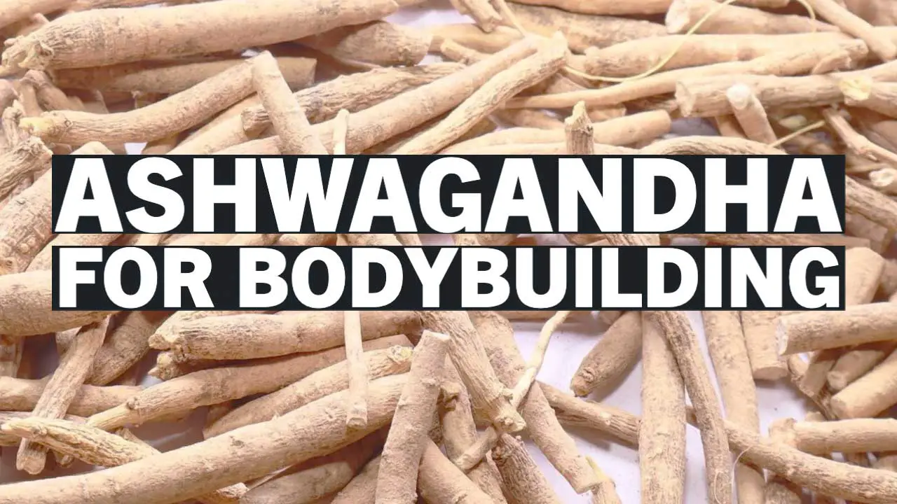 Is Ashwagandha Good for Bodybuilding? Here’s What You Need to Know