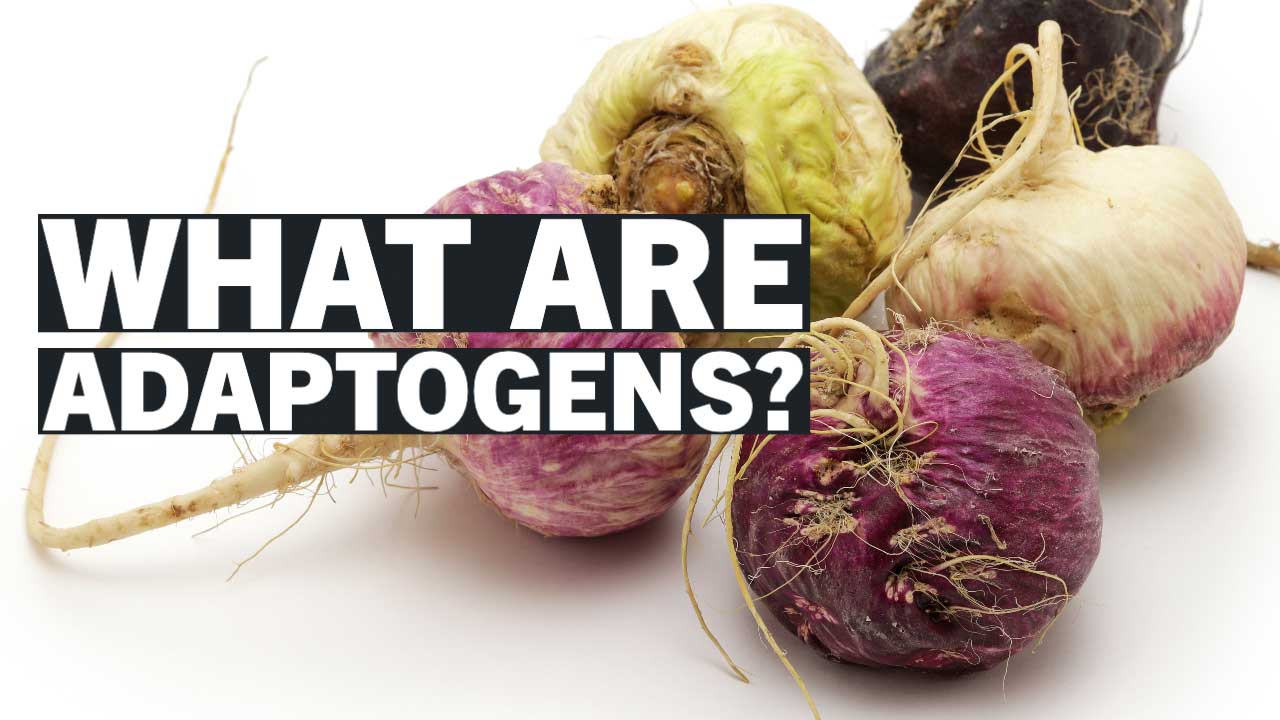 what-are-adaptogens-fi
