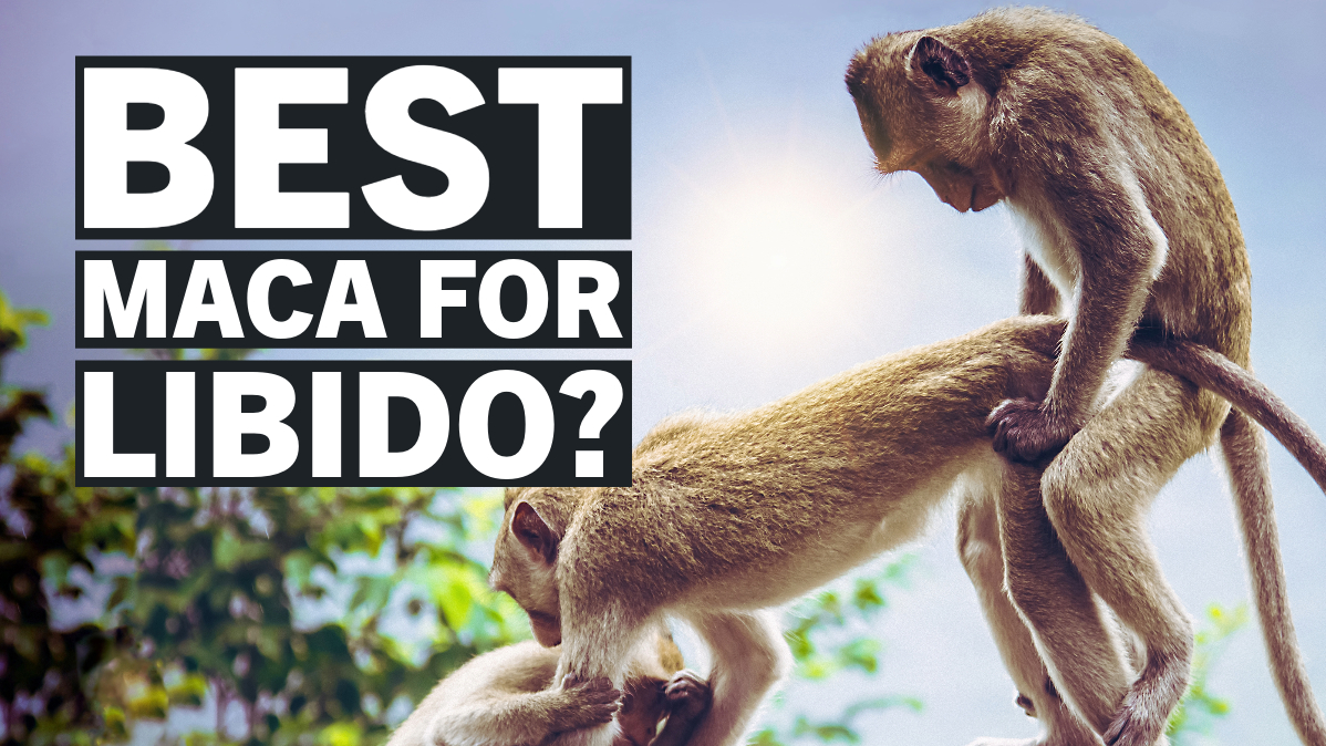 What is the Best Maca for Libido? A Quick  Guide