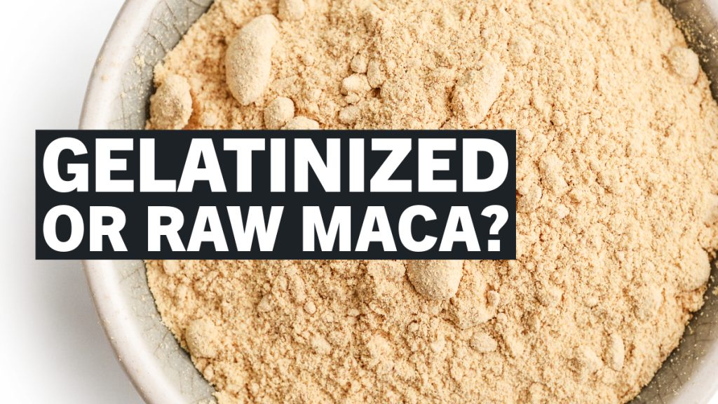 raw vs gelatinized maca 2