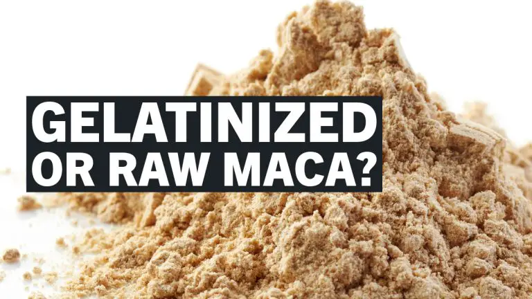 Raw vs Gelatinized Maca: Understanding the Key Differences and Benefits
