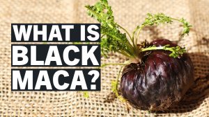 what is black maca 1