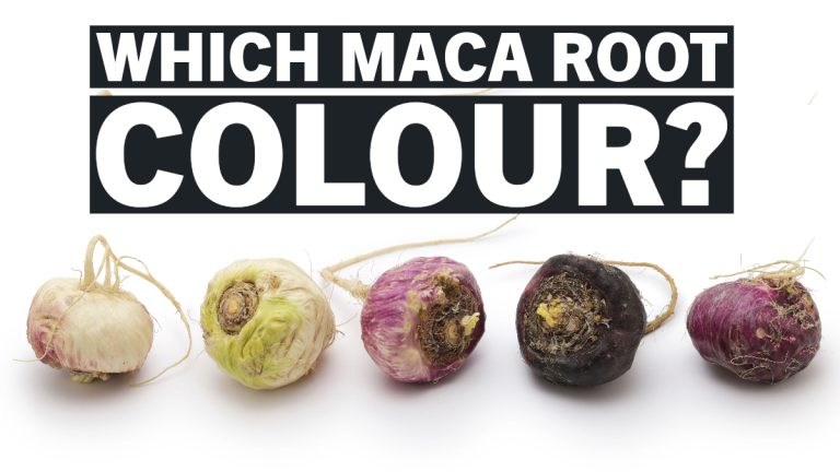 Which Maca Root is Best? A Quick Guide for Top Choices
