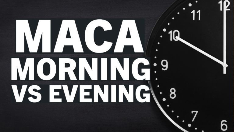 Taking Maca in the Morning vs. Evening: When’s The Best Time?