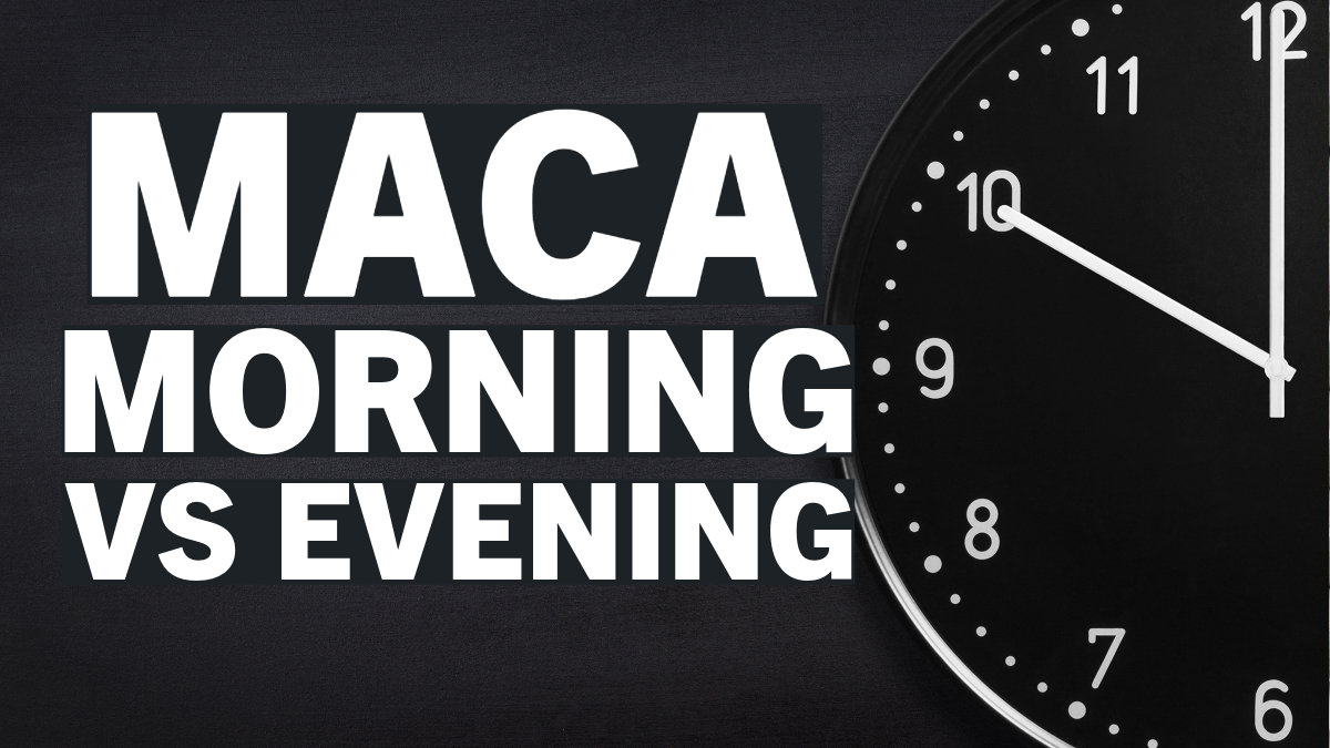 Taking Maca in the Morning vs. Evening: Optimal Timing Explained