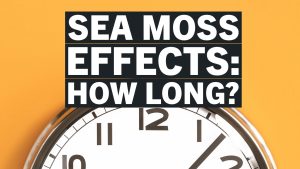 How Long Does it Take For Sea Moss To Work