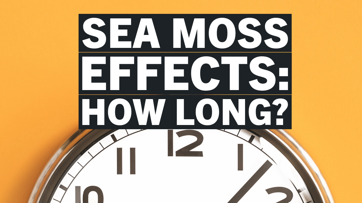 How Long Does it Take For Sea Moss To Work? – A Guide for Beginners