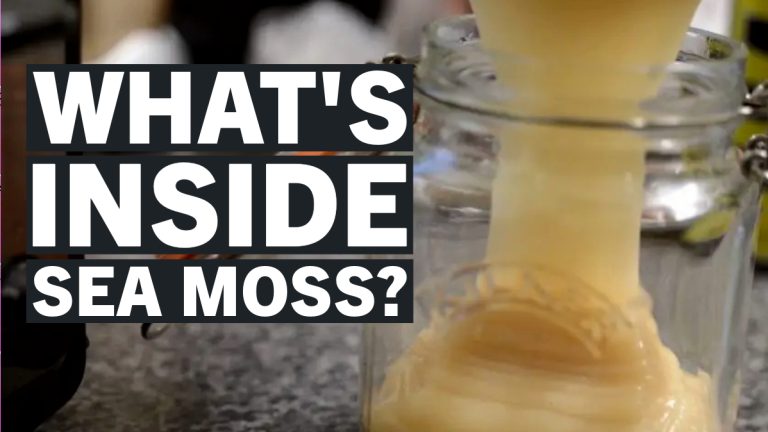 How Many Minerals Does Sea Moss Have? A Quick Guide On What’s Inside Sea Moss