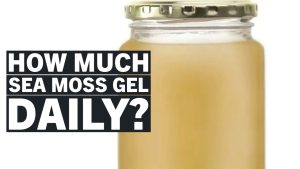 how much sea moss gel to take daily