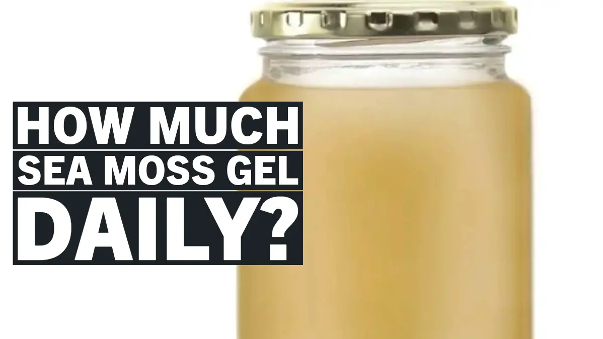 How Much Sea Moss Gel to Take Daily? A Quick Guide for Optimal Dosage