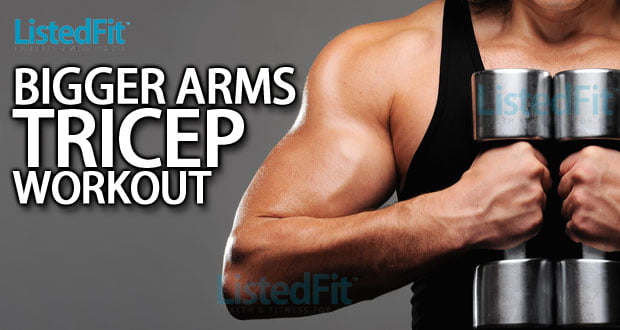 bigger arms tricep workout