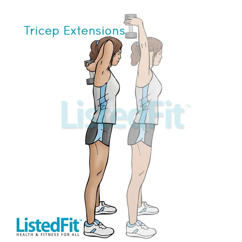 how to get rid of bingo wings fast Triceps-Extensions-LF