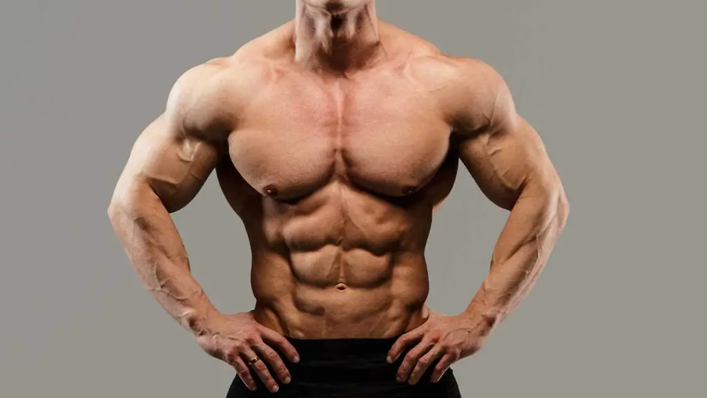 Is a Long Torso Good for Bodybuilding?