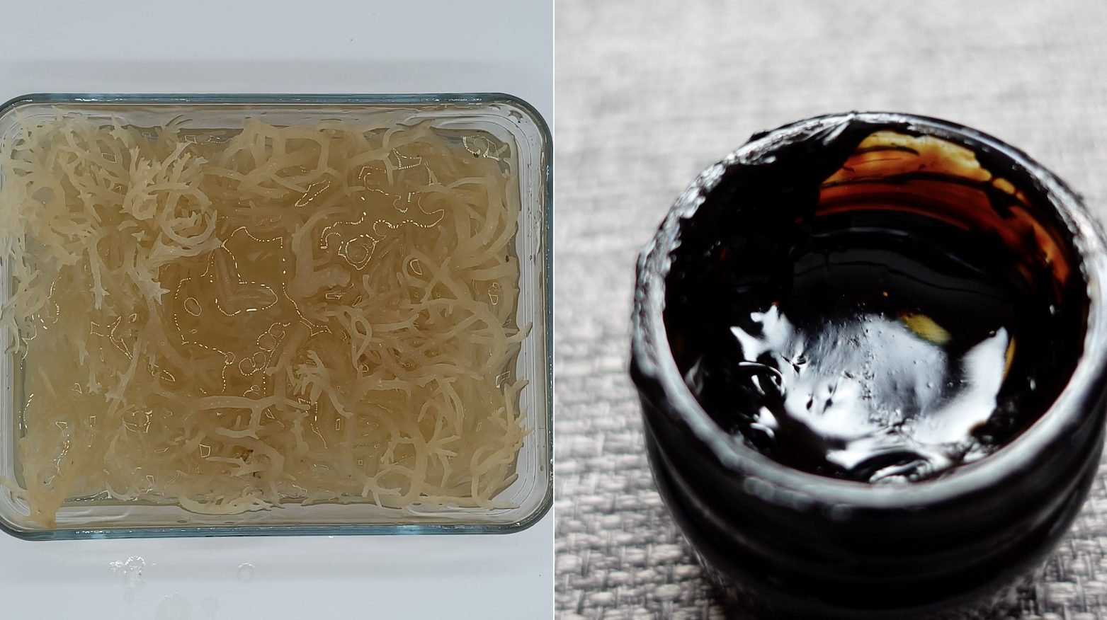 Sea Moss Vs Shilajit - Amazing Benefits but Which One Is Better