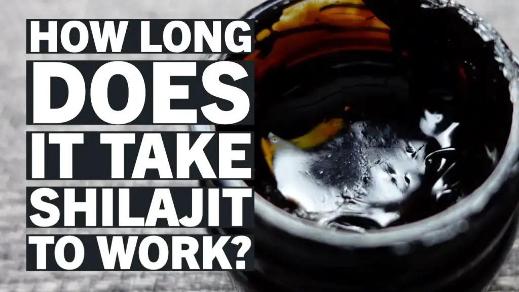 how long does it take shilajit to work fi