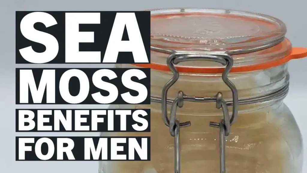 Does Sea Moss Make You Last Longer In Bed