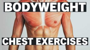 bodyweight-chest-exercises for all levels-2