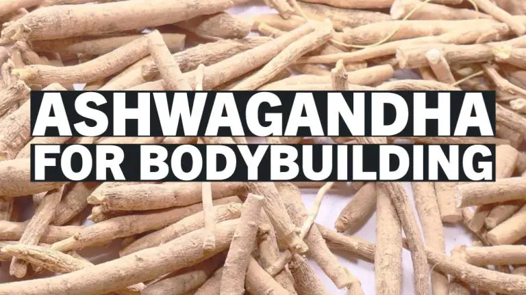 ashwagandha-for-bodybuilding-fi