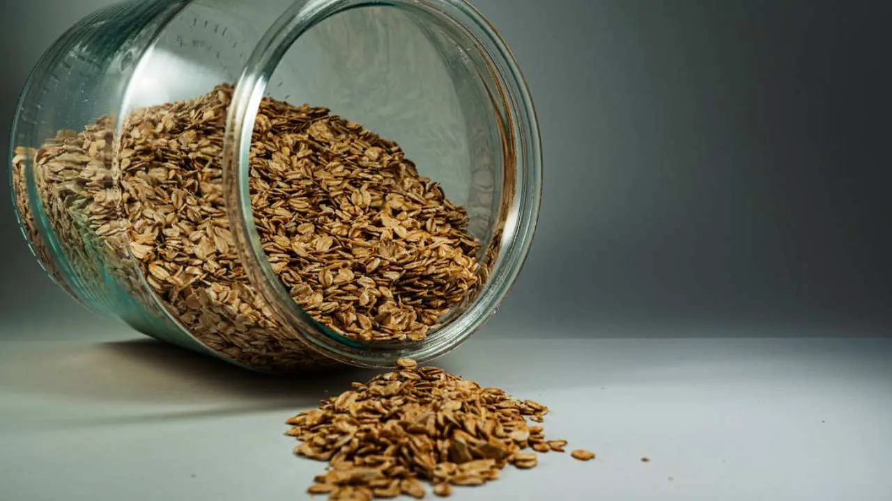 Why Are Oats Good for You? The Ultimate Superfood Secrets Revealed!
