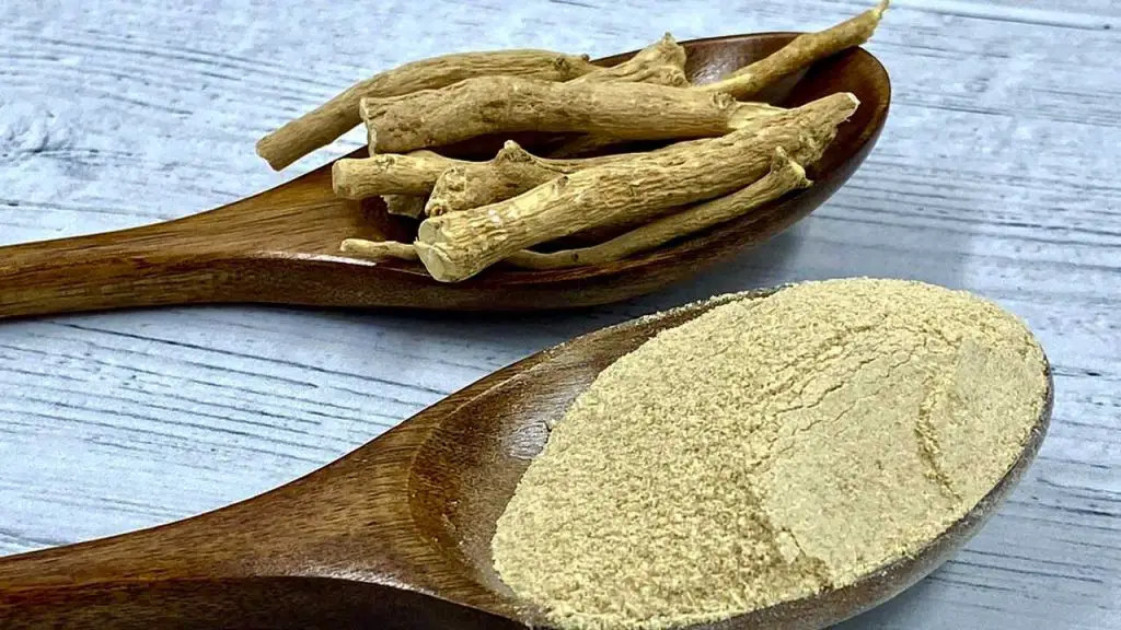 ashwagandha-on-spoon