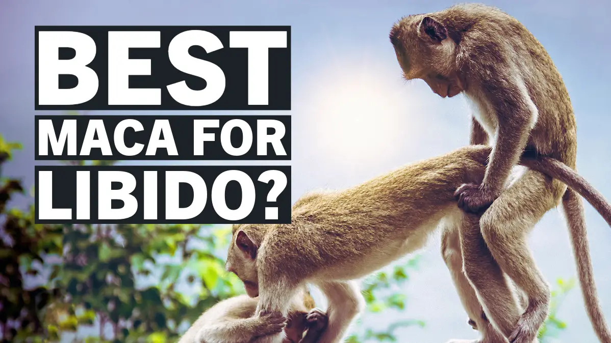 best maca for libido