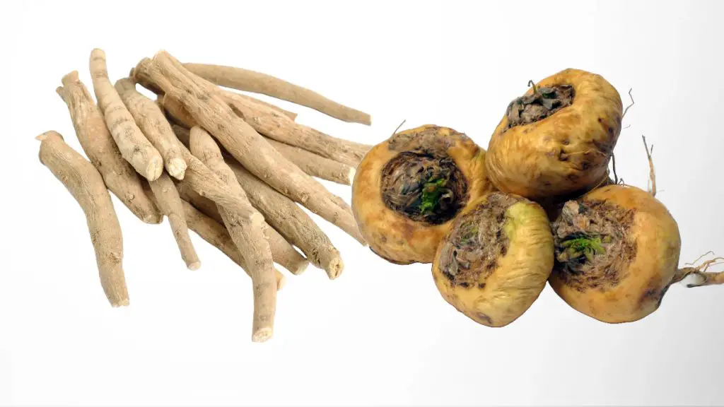 Ashwagandha and Maca Root Potent Natural Remedies Demystified 3