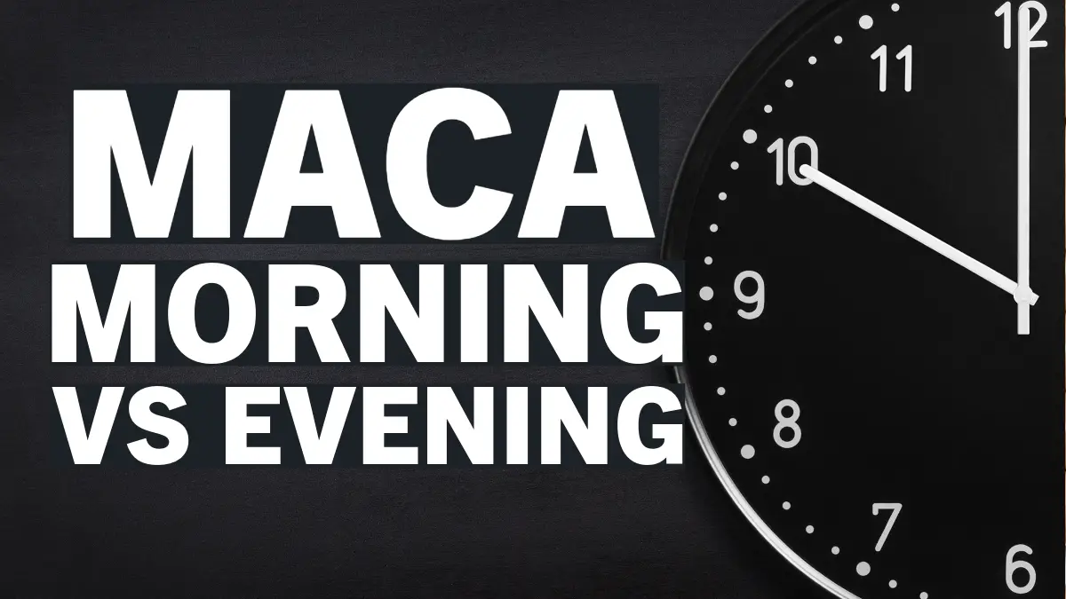 what time to take maca